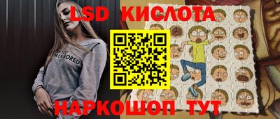 спиды Кингисепп