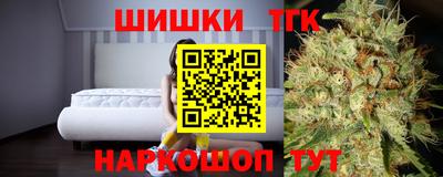 спиды Кингисепп