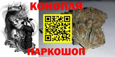 спиды Кингисепп
