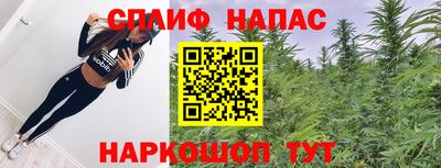 ешки Кинель
