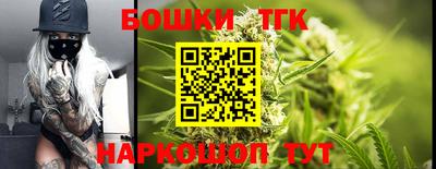 спиды Кингисепп
