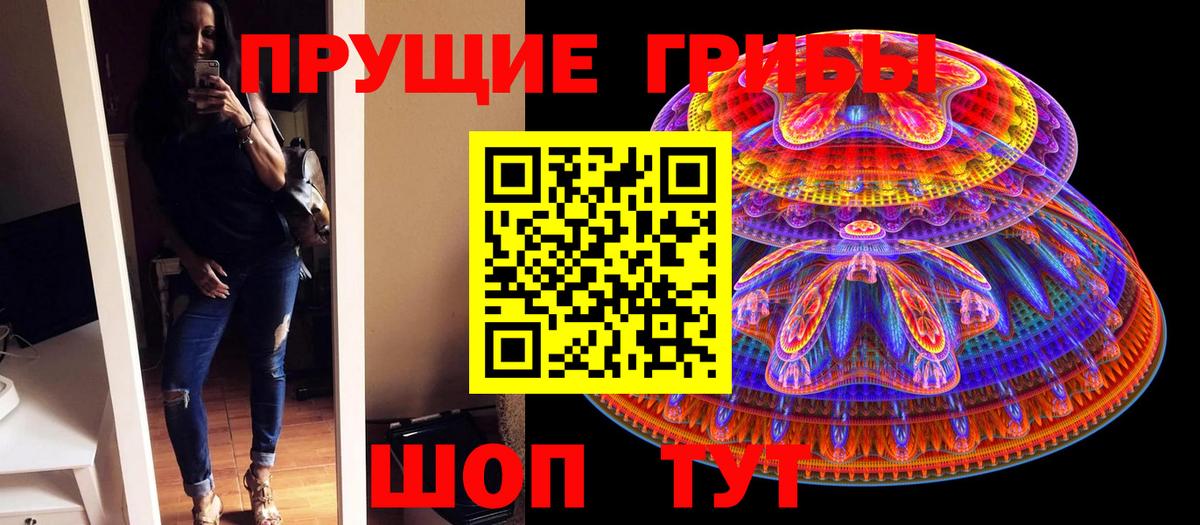 Псилоцибиновые грибы ЛСД  Галлюциногенные грибы GOLDEN TEACHER  купить наркотик  Кудрово  Вход с VPN 